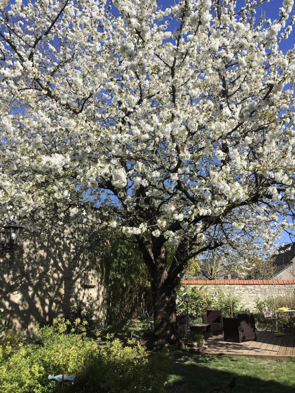 Aquarelle Bed & Breakfast Sainte-Maure-de-Touraine Exterior photo